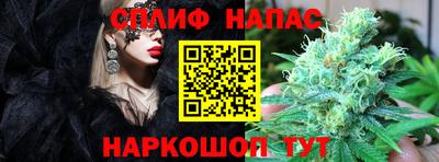 гашишное масло Будённовск