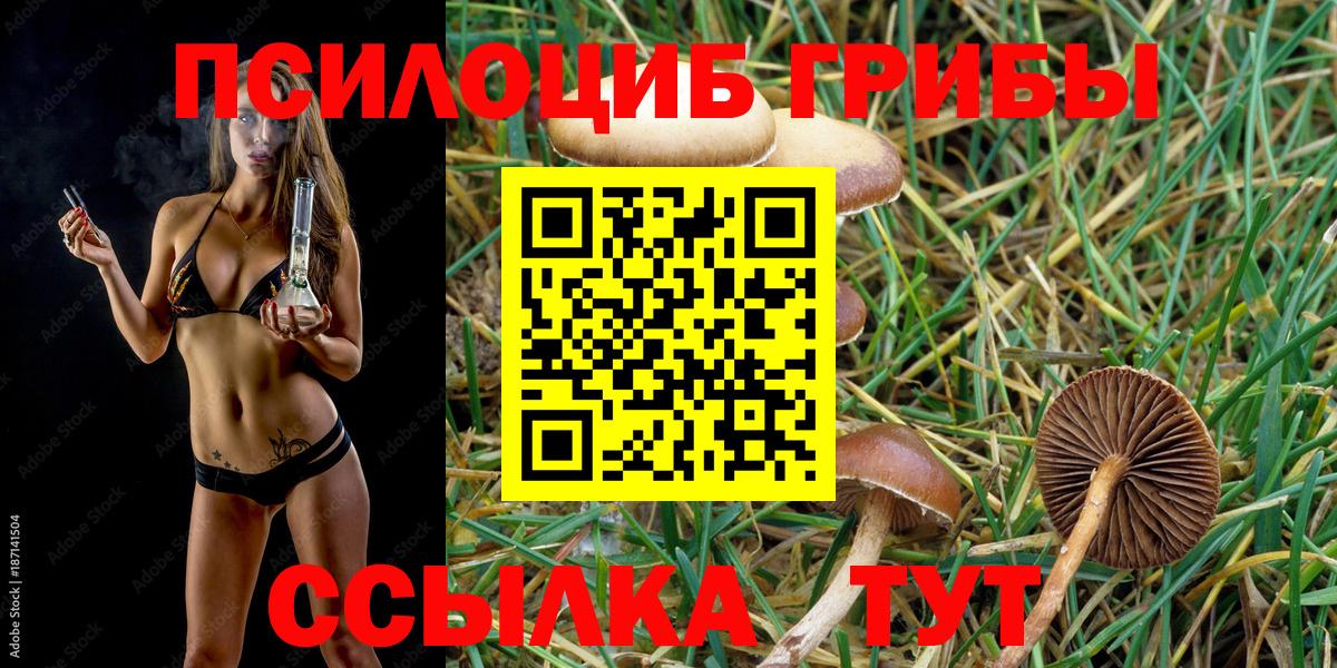 Галлюциногенные грибы GOLDEN TEACHER Петрозаводск