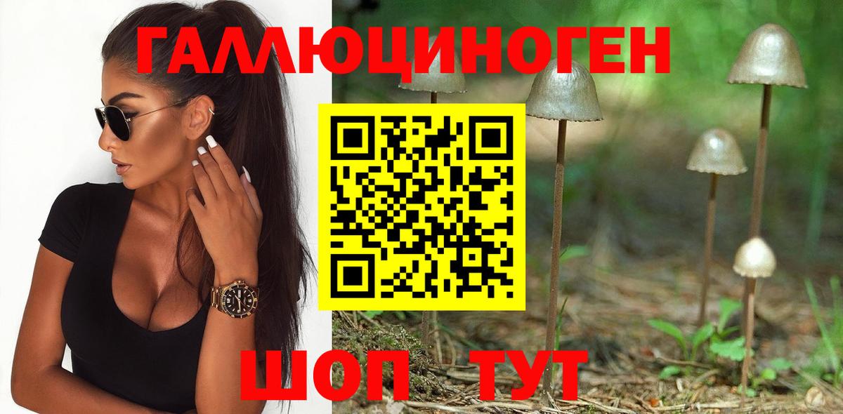 Петрозаводск  Псилоцибиновые грибы Psilocybine cubensis  Вход с VPN 